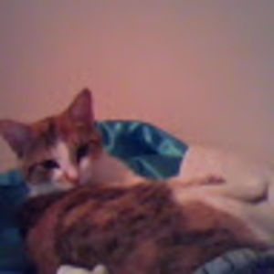 Meet your Posher, Kimberly